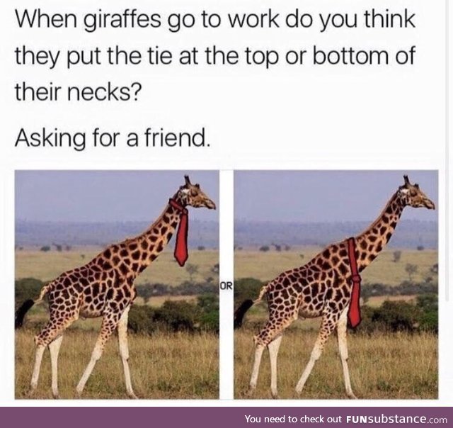 Giraffes don't go to work