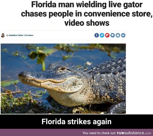 Florida land