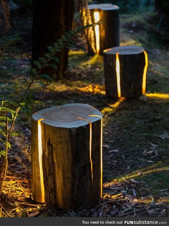 Pretty awesome idea for outdoor lights