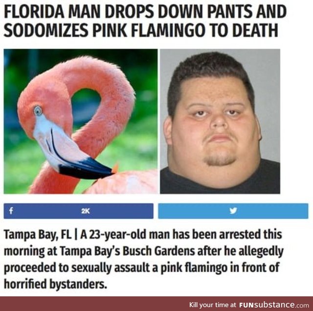 Florida man c'mon