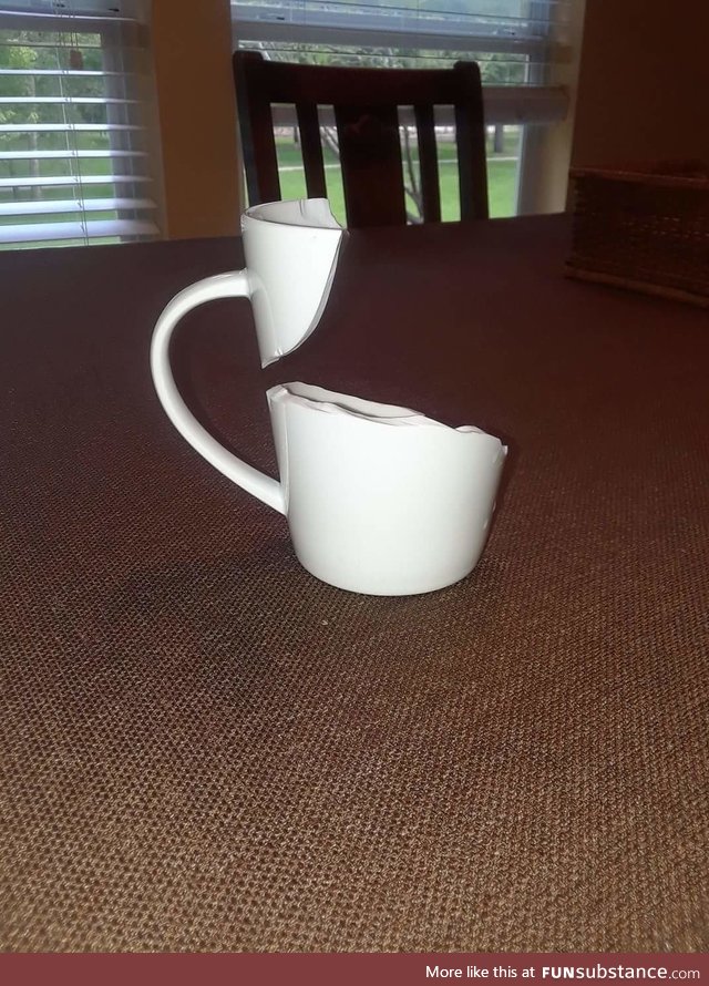 The way this cup broke