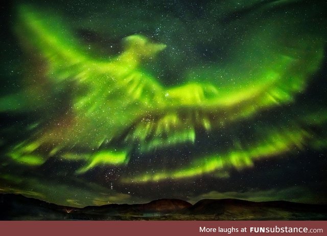 Aurora borealis shaped as a bird