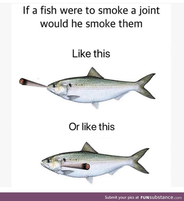 If fish smoke