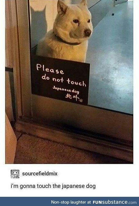 I will touch all dogs