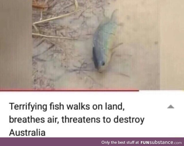 Only in Austrailia
