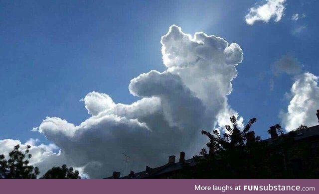 Bear cloud