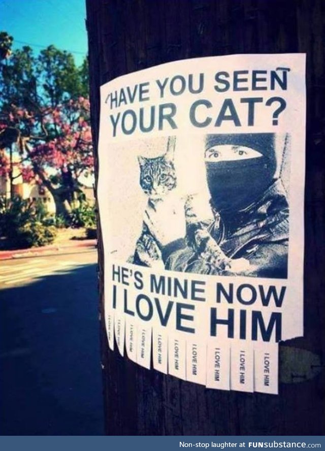 Lost cat. Found cat