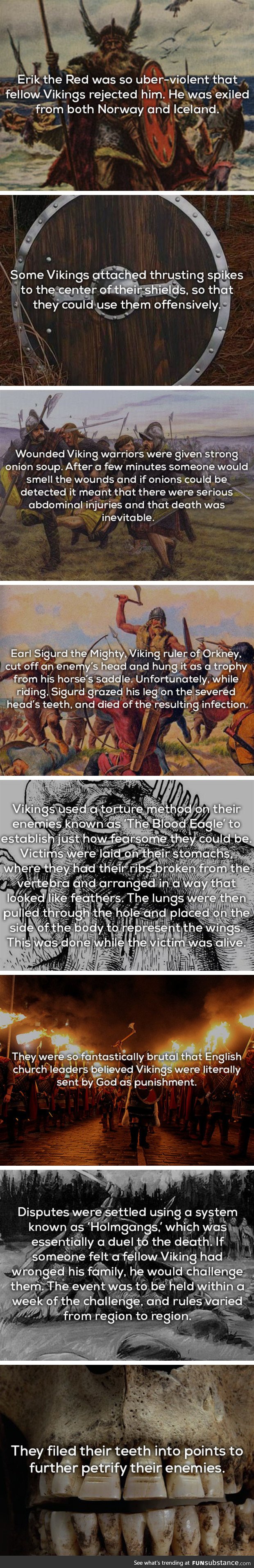 Vikings facts