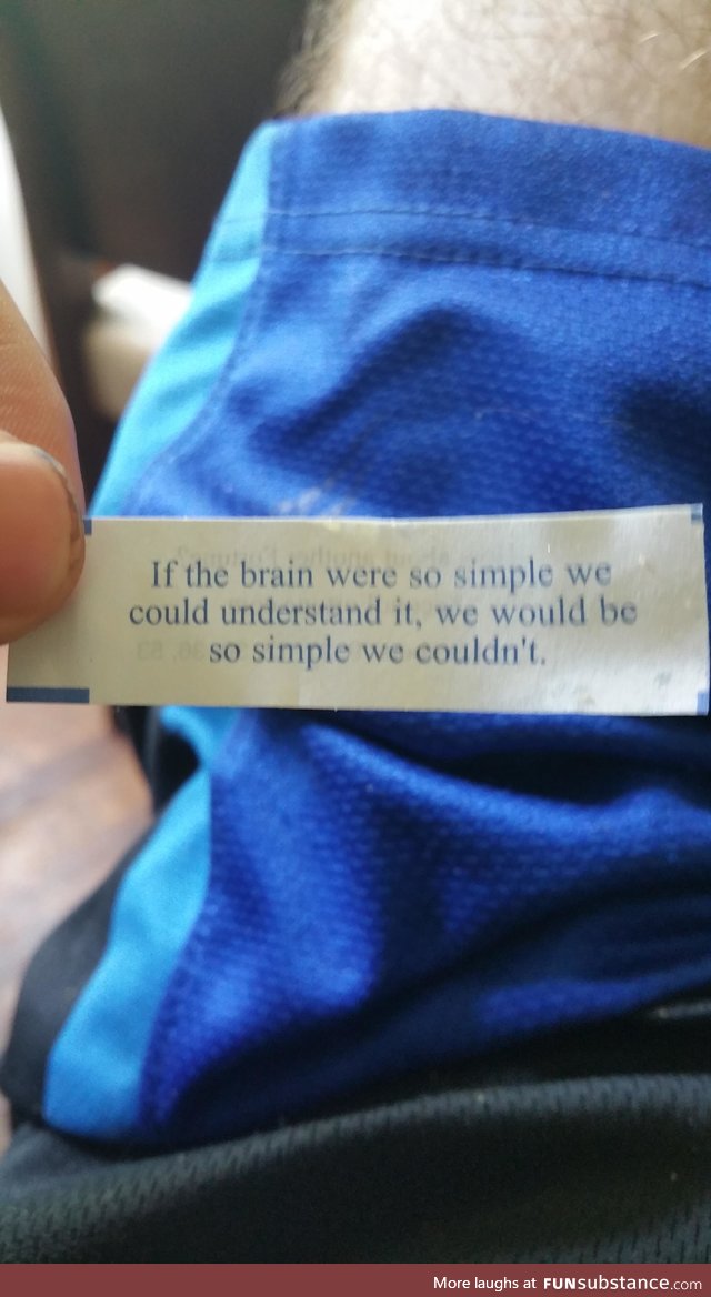 Whoever wrote this fortune was definitely stoned