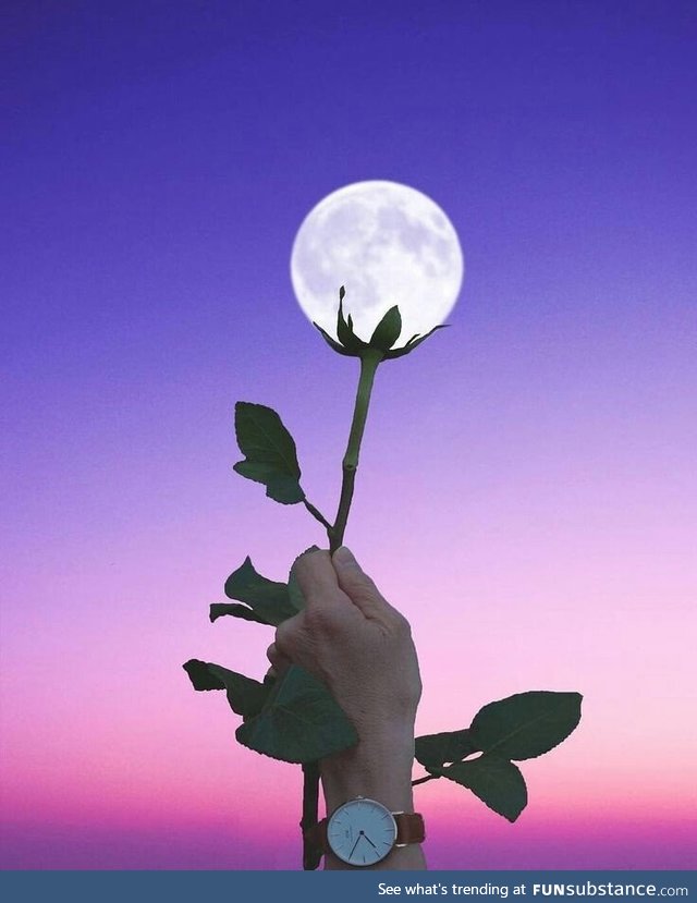 Flower moon