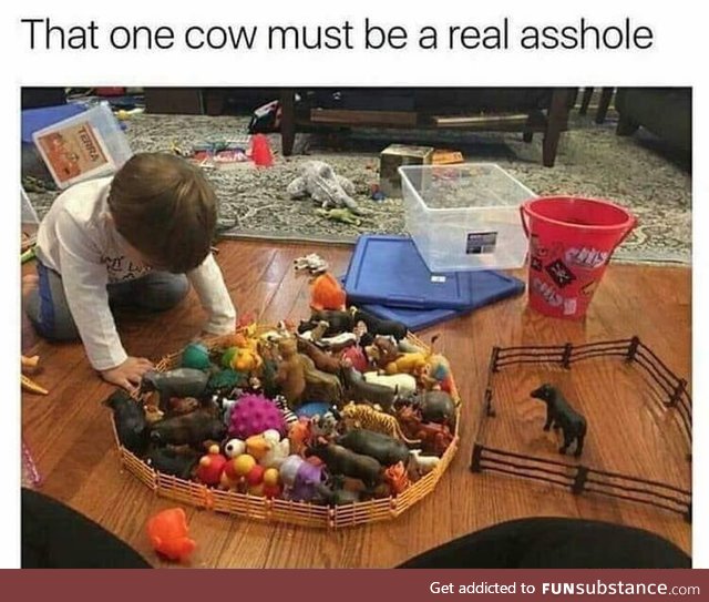 That cow though