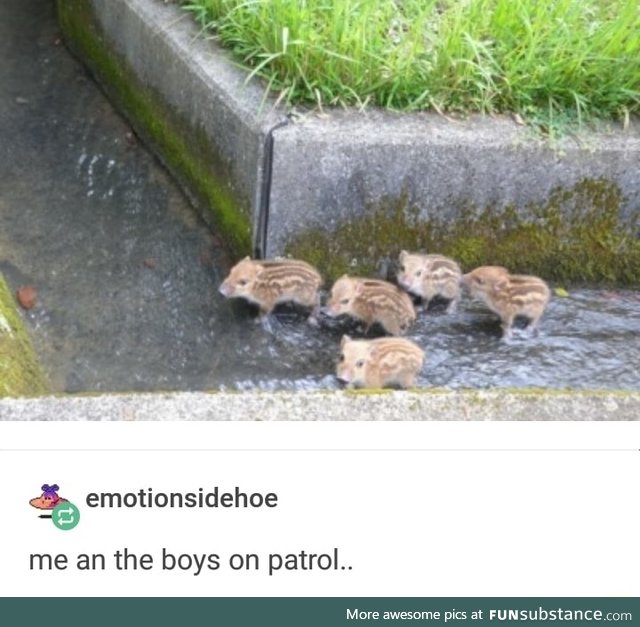 Boys on patrol