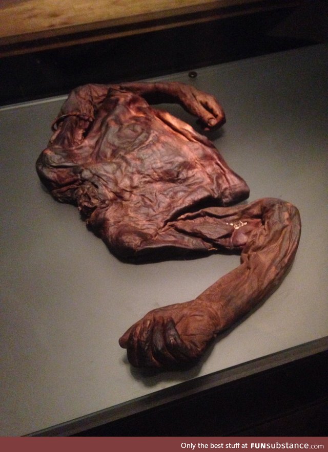 The "Old Croghan Man" Preserved torso of a man found in an Irish bog from 2000+ years ago