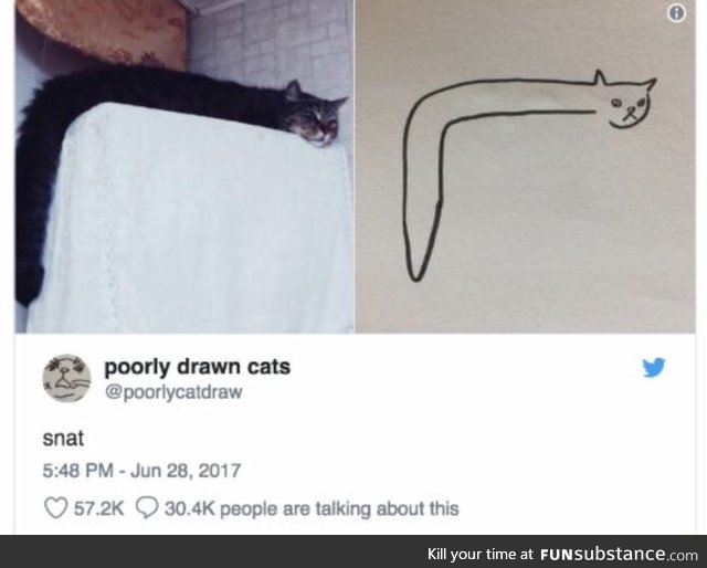 Well drawn cat