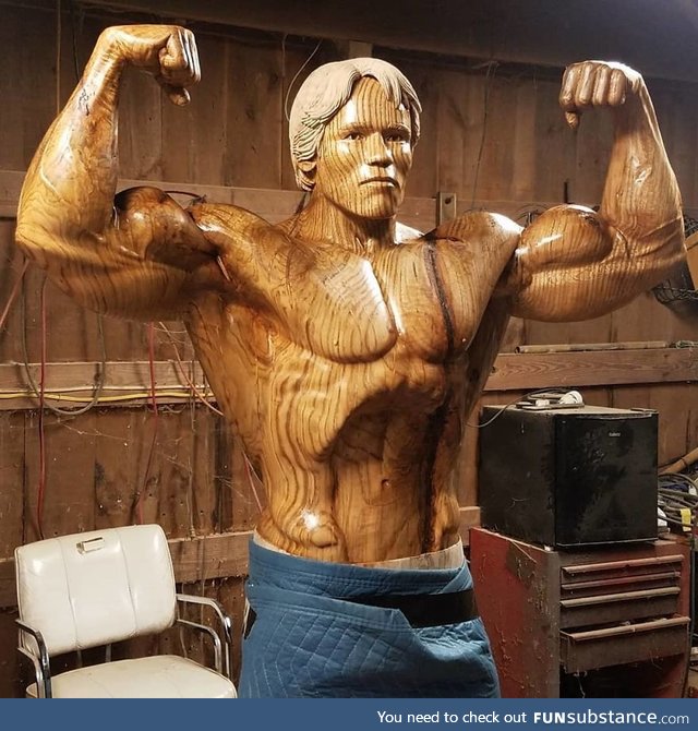 Sculptor creates a life-size statue of Arnold Schwarzenegger out of tree trunk