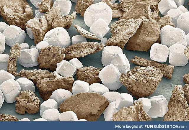 Salt and pepper under an electron microscope look like marshmallows and graham crackers