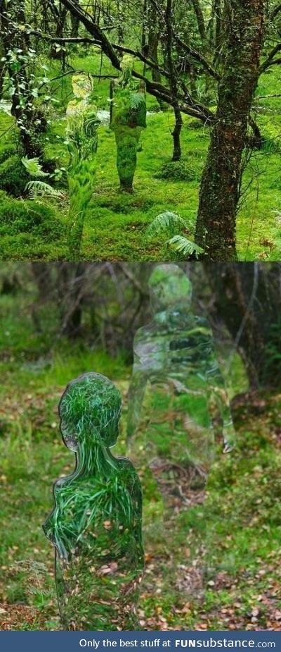 Imagine walking through a forest and catching a glimpse of these invisible figures!
