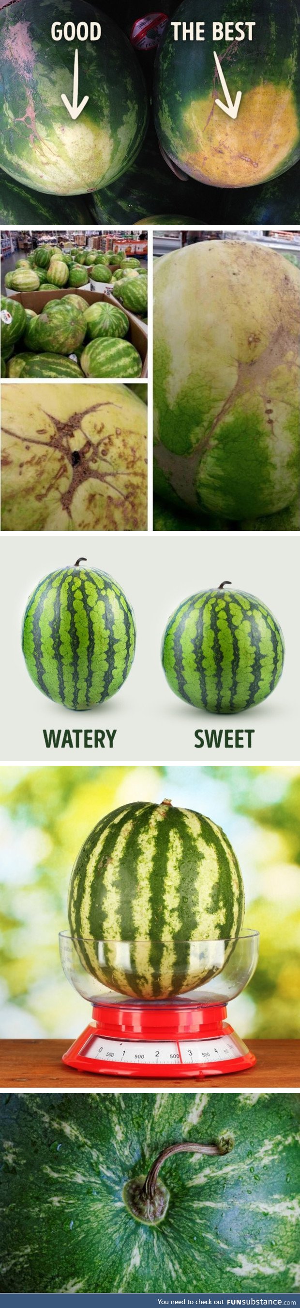 Watermelon tips