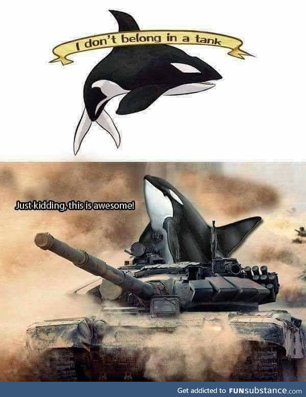 Whale of a time