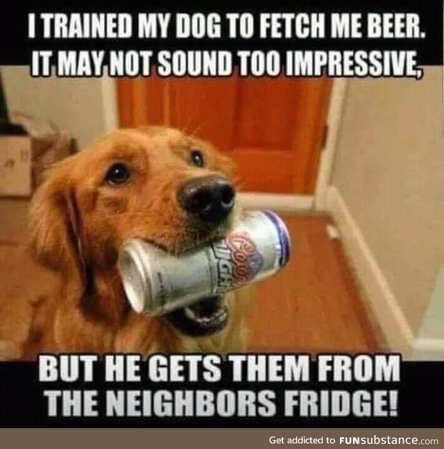 Training the dog to fetch beer