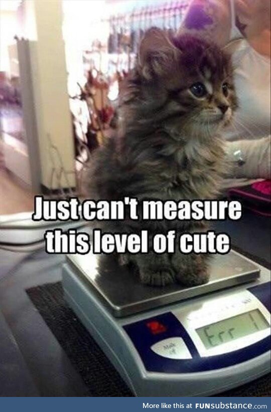 Can't measure cuteness