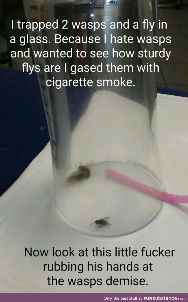 More like the fly's getting ready to get laid