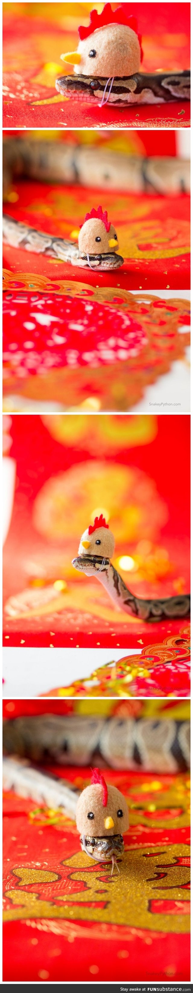 This Snek in a Rooster hat