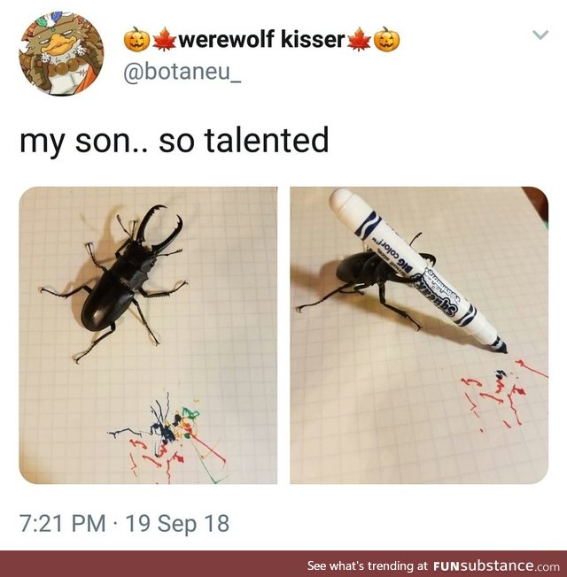 Talented beetle