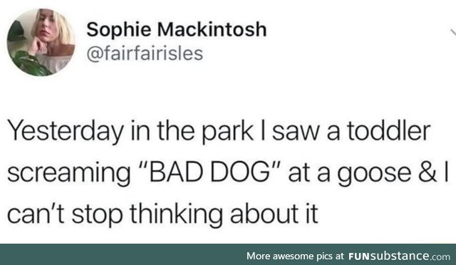Bad dog!