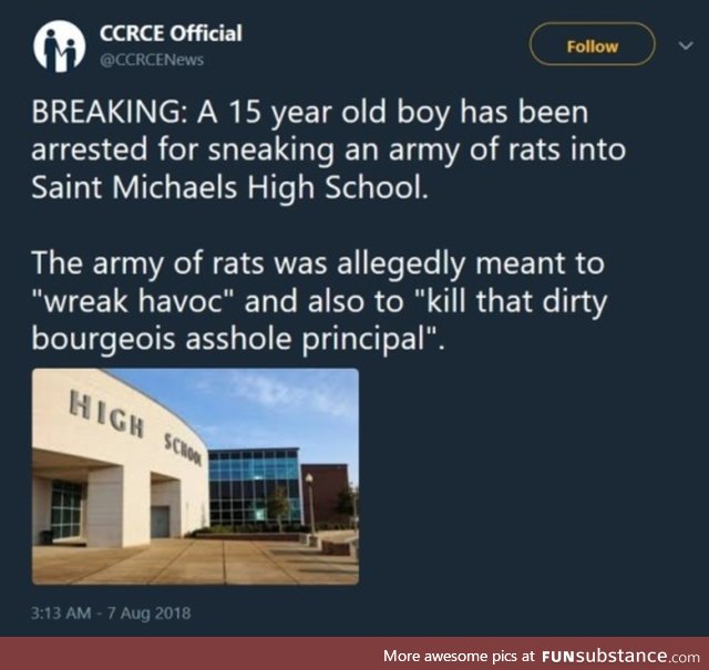Army of Rats