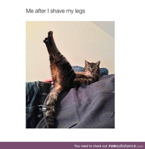 After Shaving Legs