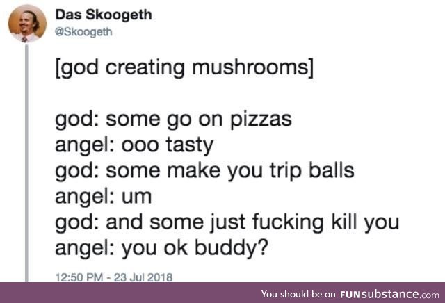 And then God made mushrooms