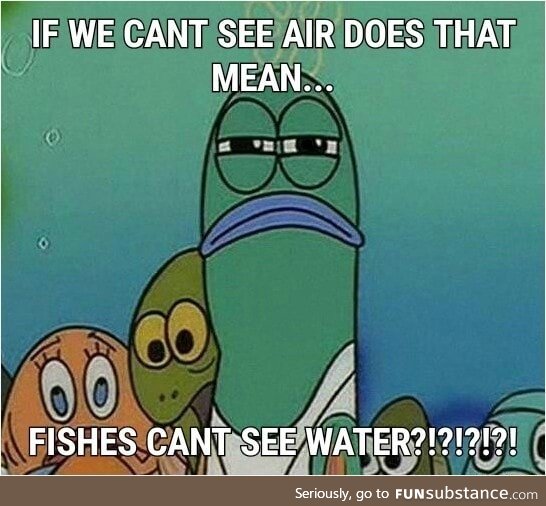 Fish can't see water