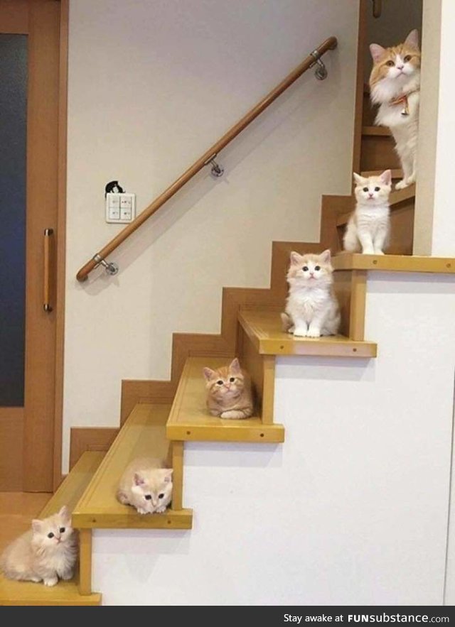 the stairway to heaven? :)