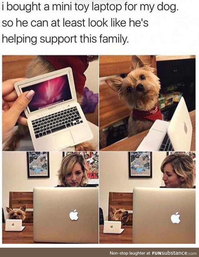 5/7 would watch him support the family again
