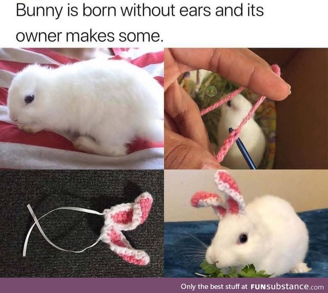 he's born without ears.. now he got new ones :3