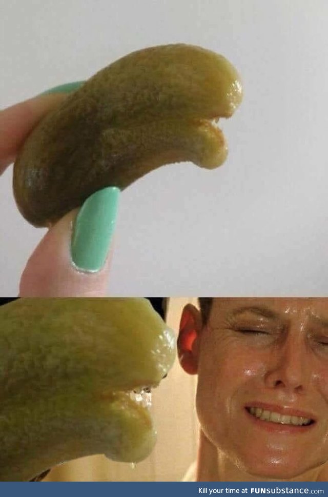 Pickle alien