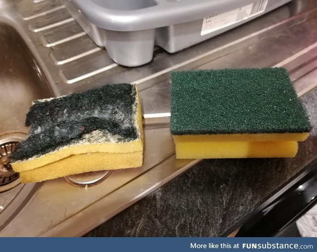 There's no better feeling than replacing a dirty sponge