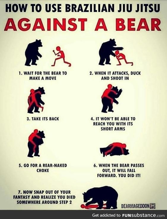 How to use BJJ against a bear