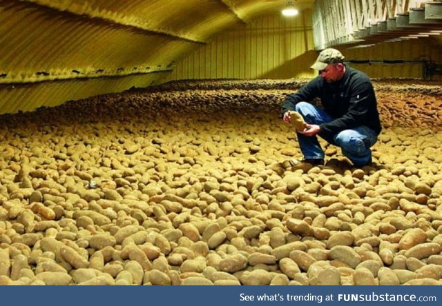  veteran doesn't know what to do with all the potatoes left since people stopped