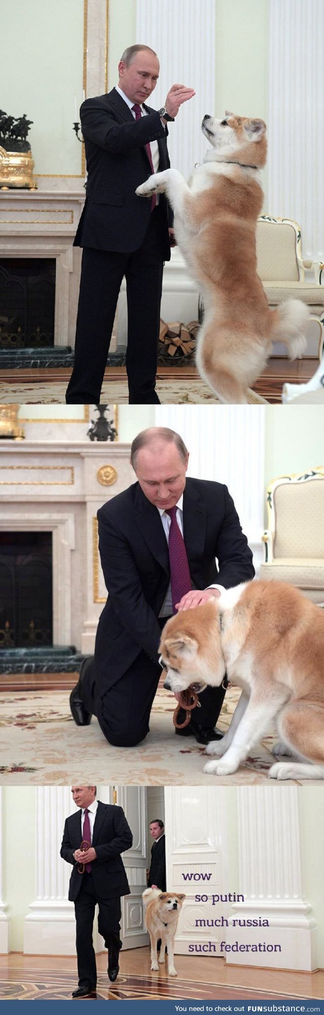 Putin's doge