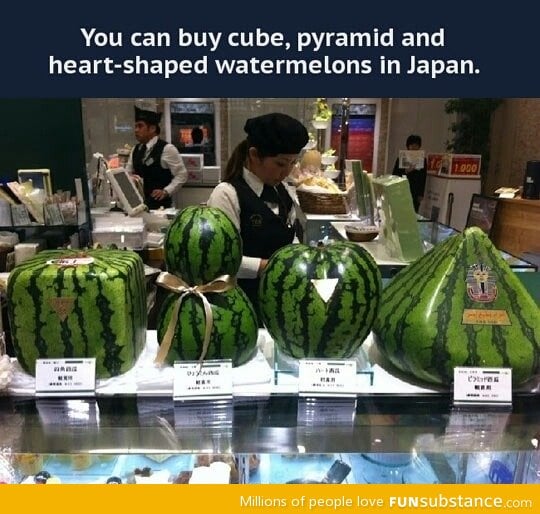 Shaped watermelons