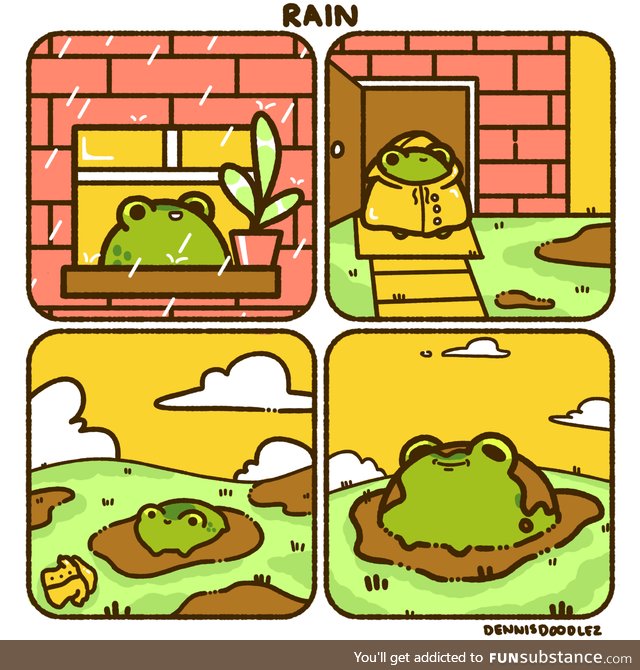 Froggo Fun #128 - Life of a Rain Frog