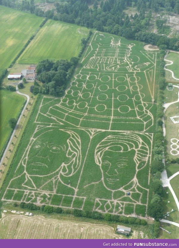 A rather splendid maze has appeared in the uk