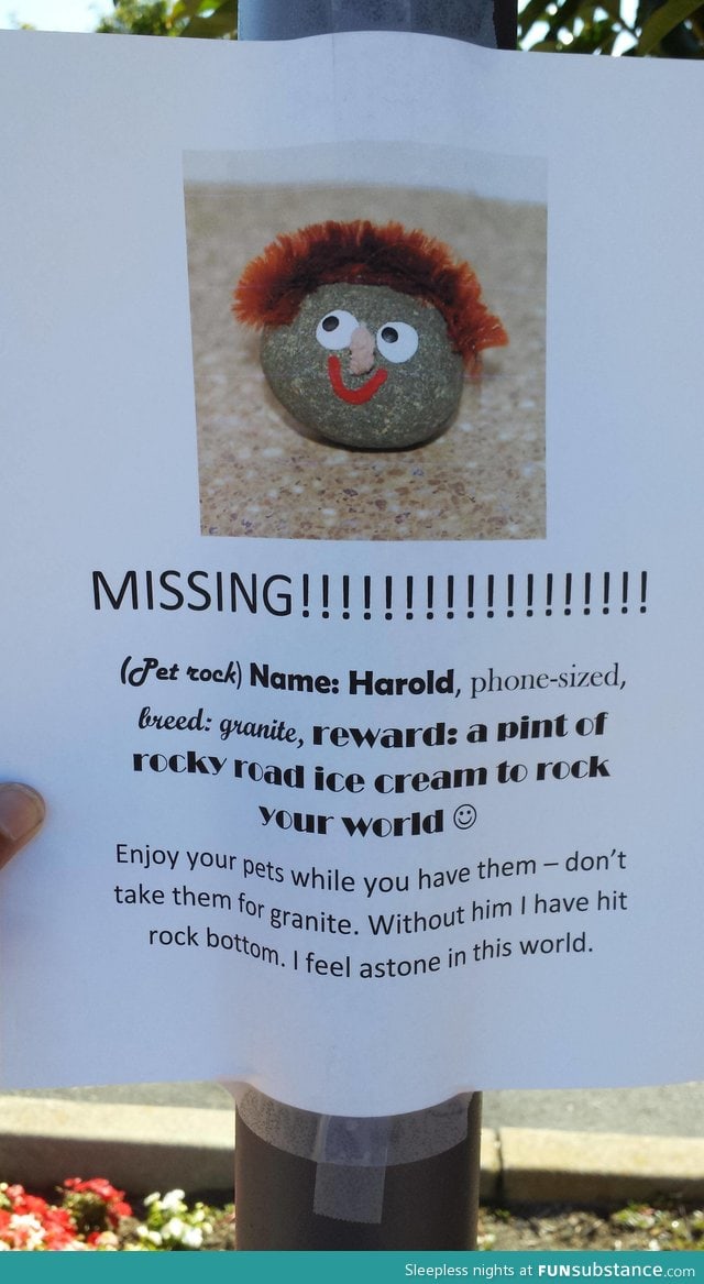 There is a missing pet in the neighborhood :(