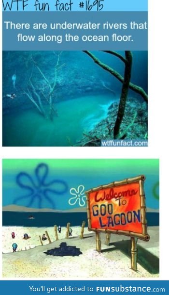 Spongebob makes sense now