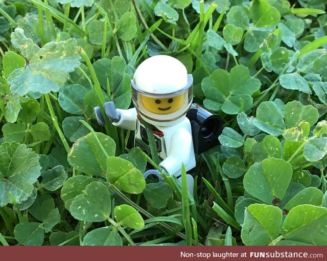 Here's a picture of a little Lego spaceman in some clovers