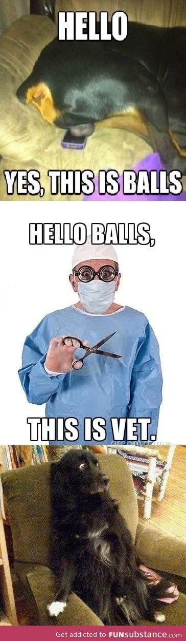 Hello this is balls