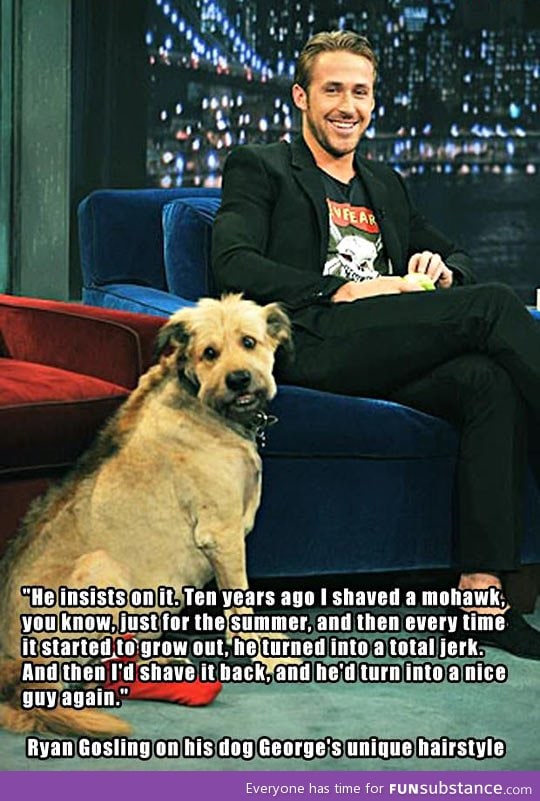 Ryan gosling on his dog's unique hairstyle