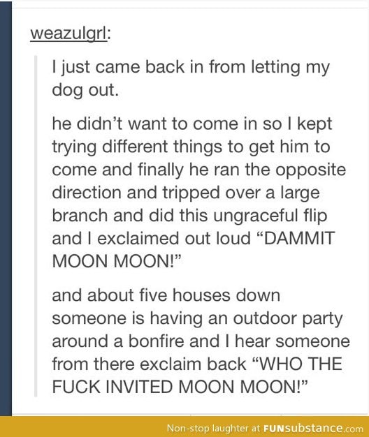 Dammit Moon Moon!
